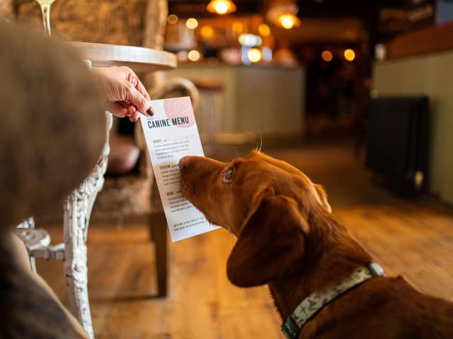 Matt Cullen, landlord of the Norfolk Arms in Ringinglow Sheffield, said he sells more dog treats than peanuts after launching a canine menu.