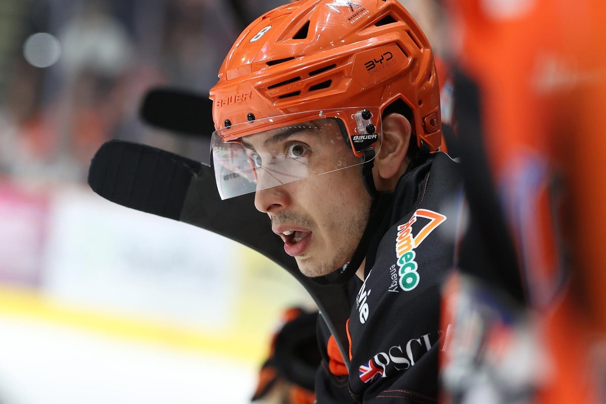 Ryan Tait finds his way at Sheffield Steelers ahead of latest reunion with Guildford Flames