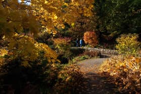RHS Garden Harlow Carr Festival of Flavours.Visitors enjoying the stunning autumn colours.22 October 2022.  Picture Bruce Rollinson