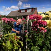 Brian Sidebottom from the Spen Valley Panton and Chrysanthemum Society, Pictured with his blooms at his garden at Gildersome, Leeds. Picture taken by Yorkshire Post Photographer Simon Hulme 31st August 2023
