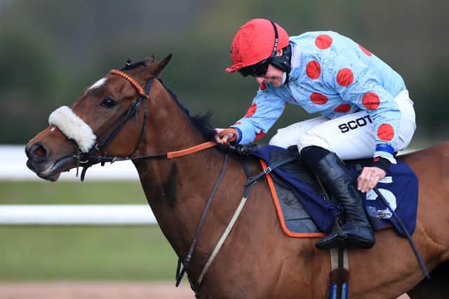 BOXING CLEVER: Ruth Jefferson’s Sounds Russian will take on Ahoy Senor again in the Rowland Meyrick Chase at Wetherby on Boxing Day. Picture: Mike Egerton/PA.