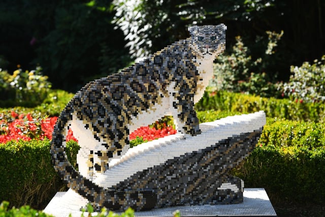 A Lego snow leopard