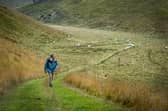 Pat Wharam Countryside Access officer for the  East Riding on the Yorkshire Wolds Way near Thixendale. Sunday Oct 2 marks the 40th anniversary of the Yorkshire Wolds Way. To mark it, ramblers and trail rangers are guiding people on shorter walks crossing its 79-mile stretch from the Humber Bridge to Filey Brigg. Picture Tony Johnson