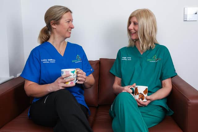 Louise Mallinson, left, and Angie Shaw enjoying a break at Beechwood Vets. Photo: Chris Booth/Beechwood Vets