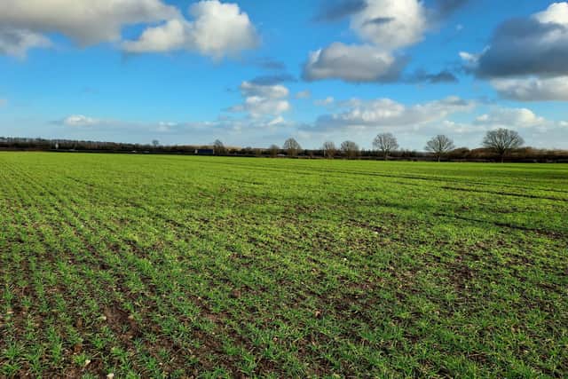 At Bilbrough, there's 120 acres of land, available as a whole or in nine lots