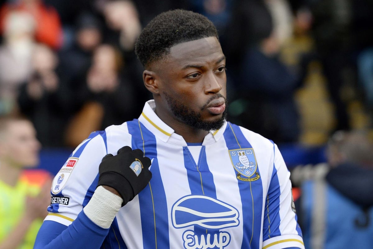 Sheffield Wednesday injury update as two key figures could return against Bristol City