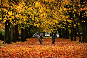 Autumn Colours at Gotts Park. (Pic credit: Simon Hulme)