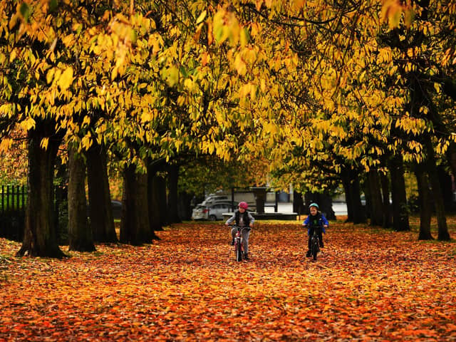 Autumn Colours at Gotts Park. (Pic credit: Simon Hulme)