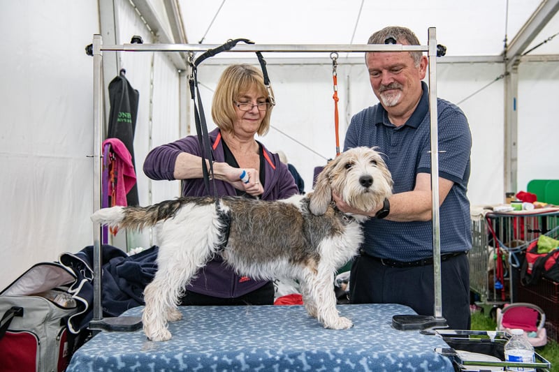 Deb and Tim Bartley with Jack, their Petit Basset Griffon Vendéen at the Harewood Dog Show.