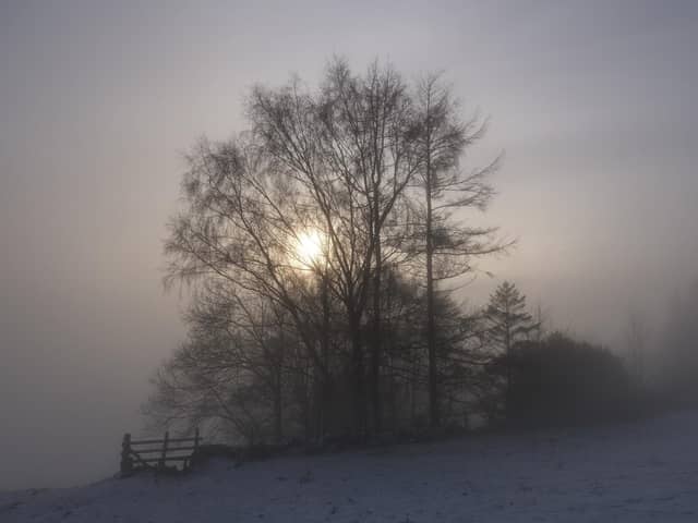 Misty trees in Hebden Bridge.