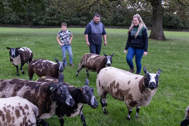 Beth Chew and Ben Whitham with son Oliver with their flock of Dutch Spotted sheep they breed at Sheriff Farm, Bingley.