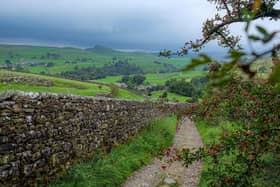 The footpath from Catrigg Force towards the village of Stainforth nestled in Ribblesdale near Settle in the Yorkshire Dales National Park. PIC: Tony Johnson