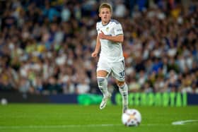 ONE START: Joe Gelhardt has only kicked off one Premier League game for Leeds United so far this season