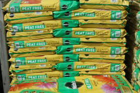 Bags of peat-free compost on sales. PIC: Alamy/PA