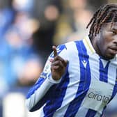 GOAL: Sheffield Wednesday striker Ike Ugbo