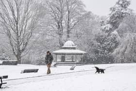 A dog walker in heavy snow in Roundhay Park, Leeds photographed for the Yorkshire Post by Tony Johnson