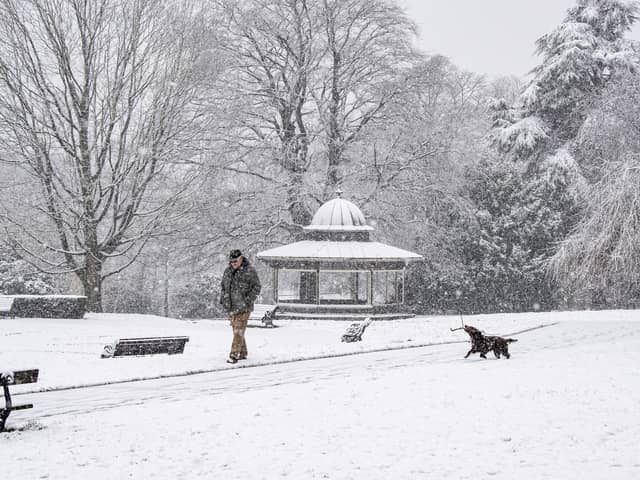 A dog walker in heavy snow in Roundhay Park, Leeds photographed for the Yorkshire Post by Tony Johnson