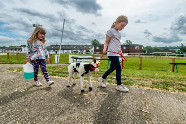 Darcy Bett, aged 4, and Amber Dunn, aged 7, of Stirling, Scotland, walking with their Belgian Blue soft toy