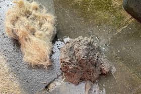 Pair of wigs recovered from a sewer pipe in Bradford