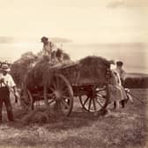 circa 1880: Farm hands pitch hay into a cart on a farm near Whitby.  (Photo by Frank Meadow Sutcliffe/Getty Images)