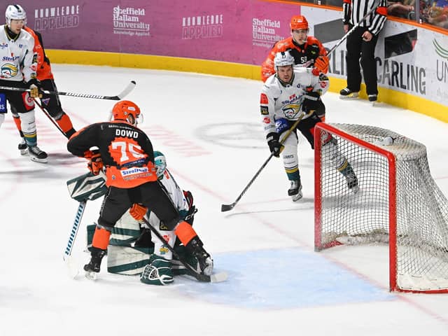 LEADING LIGHT: Captain Robert Dowd (No 75) puts Sheffield Steelers 3-1 ahead against Belfast Giants on Sunday night. Picture: Dean Woolley/Steelers Media.