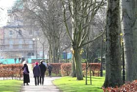 Yellow ribbons went up on trees earmarked for felling as part of the Queens Gardens revamp last year Picture: David Bean