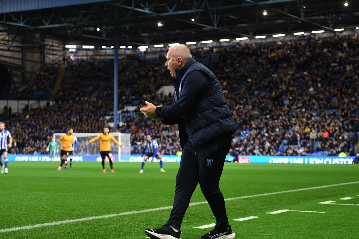 Sheffield Wednesday interim boss Matt Hamshaw on his future, Henrik Pedersen and 'frustration' after Cambridge United draw