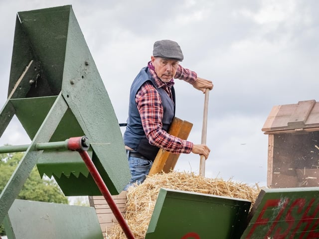 Chatsworth Country Fair 2025 - Threshing Demo using equipment from 1946