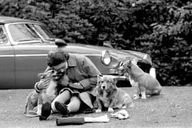 File photo dated 12/05/1973 of Queen Elizabeth II sitting on a grassy bank with her corgis at Virginia Water to watch competitors, including Prince Philip, in the Marathon of the European Driving Championship - part of the Royal Windsor Horse Show. The Queen died peacefully at Balmoral this afternoon, Buckingham Palace has announced. Issue date: Thursday September 8, 2022.