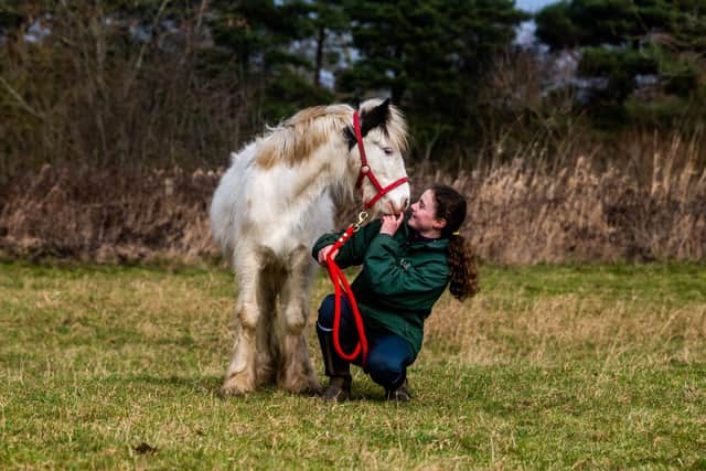 Ruby McGloughlin, 12, with her pony Daisie. Picture By Yorkshire Post Photographer,  James Hardisty. Date:7th February 2023.