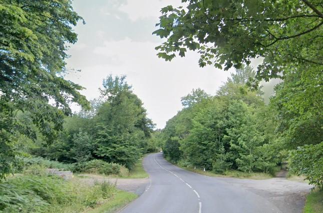 Man, 49, and teenage girl die after car crashes into trees on Yorkshire ...