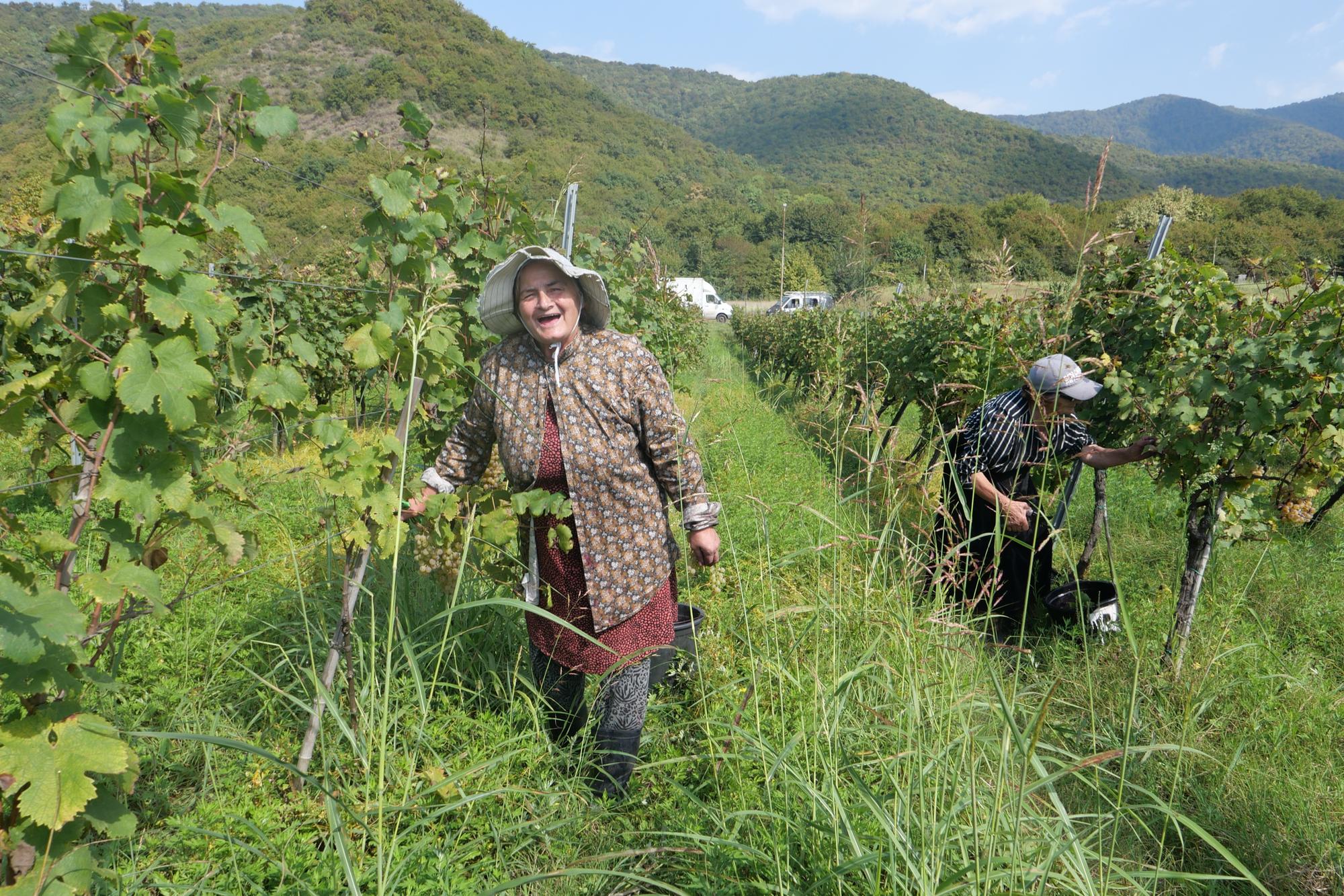 Georgia: The best wines from a forward-looking country with ancient traditions