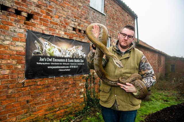 Joe Hodgson, with a Burmese python