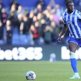 BELIEFS: Dominic Iorfa has stuck to clear ideas in Danny Rohl's time as Sheffield Wednesday manager