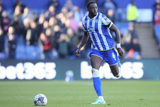 BELIEFS: Dominic Iorfa has stuck to clear ideas in Danny Rohl's time as Sheffield Wednesday manager