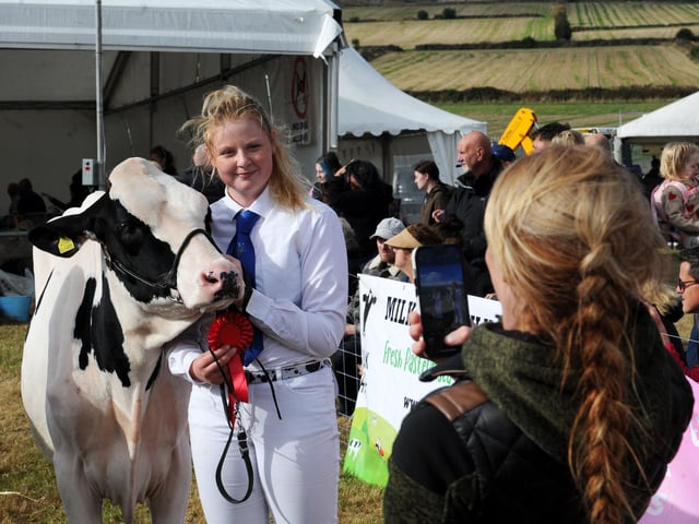 Hannah Shepherd is photographed with her winning Maiden Heifer in the Dairy Class breed