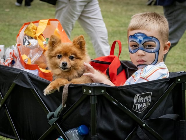 Chatsworth Country Fair 2025 - Vinnie Brookes aged 3 from Nottinghamshire with his dog Darci aged 12, relaxing in their cart at Chatsworth 'Country Fair 2025. By Marisa Cashill. 30th August, 2025.