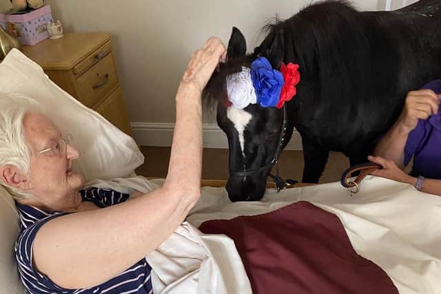 Residents at Wykebeck Court Bupa Care Home in Leeds recently enjoyed an animal therapy session with a miniature horse called Glory.