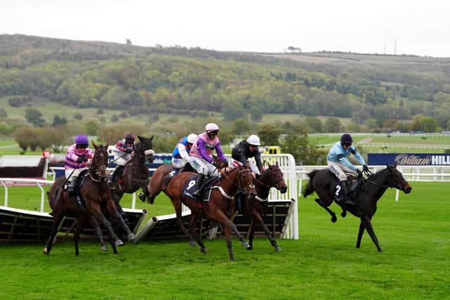 Kingofthefrontier on the way to winning the Oddschecker Novices' Hurdle at Cheltenham racecourse.