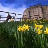Clifford's Tower during springtime. (Pic credit: Simon Hulme)