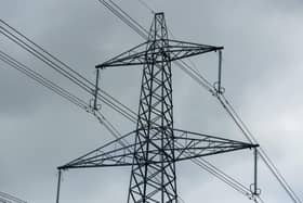 Baroness McIntosh of Pickering has blasted plans to erect 56 miles of electrcity pylons as wrong-headed and is urging bosses to think more carefully about the natural assets they are dealing with
