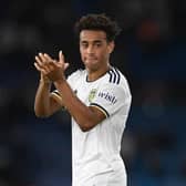 Leeds United midfielder Tyler Adams, who is set to move to Bournemouth after a fee was agreed. Picture: Getty