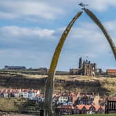 A view towards Whitby Abbey through the replica Whale's jaw bone. PIC: James Hardisty