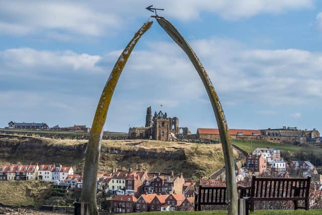 A view towards Whitby Abbey through the replica Whale's jaw bone. PIC: James Hardisty