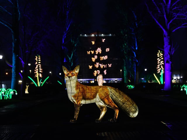 The Awakening light festival in Hull. Lantern Company's Nature Nocturnal captured by The Yorkshire Post photographer Jonathan Gawthorpe.