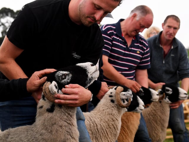 Malham Show