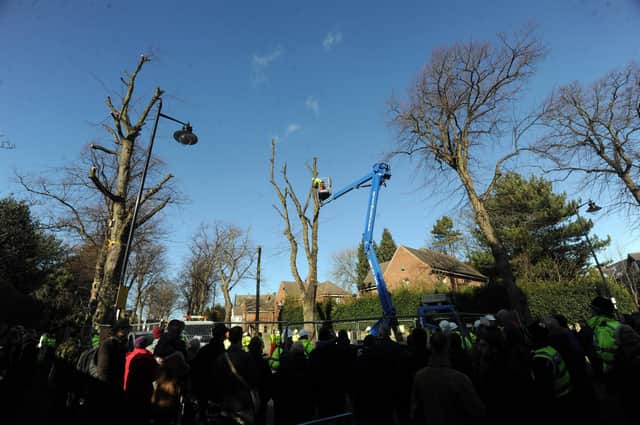 Tree protests on Kenwood Road in the Nether Edge area of Sheffield in March 2018. Picture Scott Merrylees