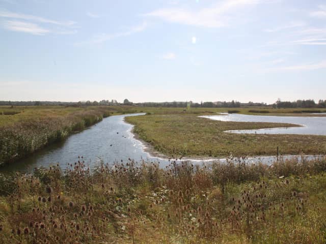 North Cave Wetlands are part of the Humberhead Levels and an important seabird habitat