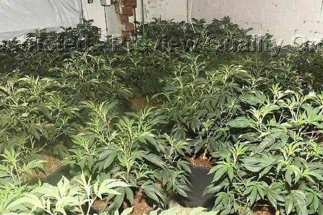 £7m of drugs seized in West Yorkshire town during 18-month police scheme