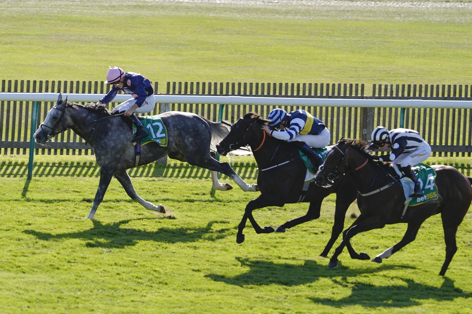 North Yorkshire jockey Mikey Sheehy on his thrilling bet365 ...